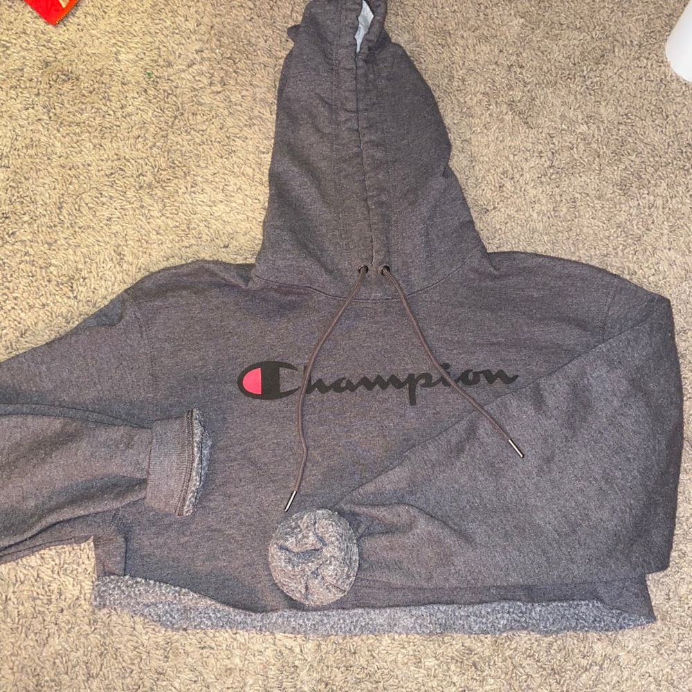 Cropped champion sweater